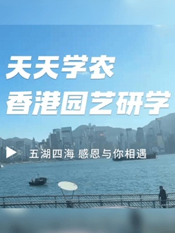 与香港园艺学会联合举办香港园艺研学，专业园境师带队讲解。