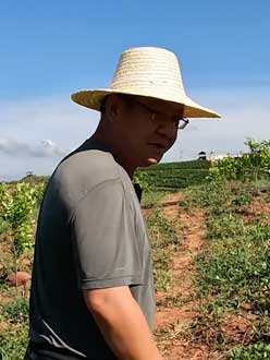 农业人叶涛，50多岁通讯人跨界搞农业，他要用1000万打造一个梦。